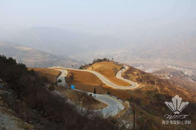 西安海棠医药科技集团“双节慰问”活动顺利拉开序幕