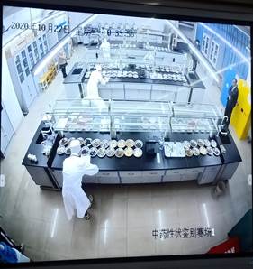 说明: E:\beat365手机版官方网站工作记录\专项工作\技能比赛\2020年省级中药传统技能竞赛\IMG20201027083317.jpg